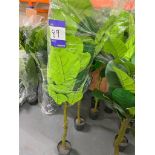 5 x Fig Fiddle Leaf Artificial Plants