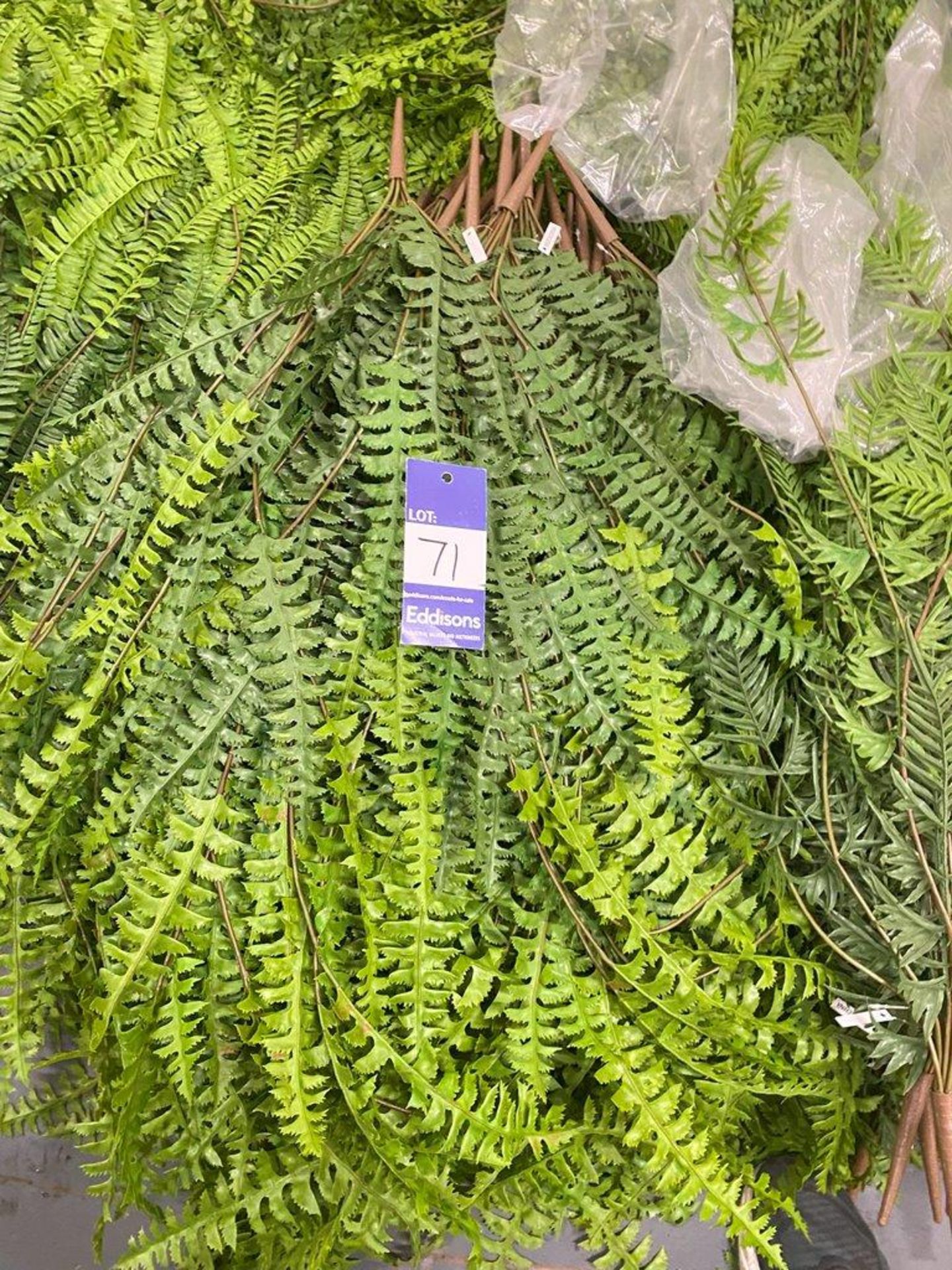 Approximately 50 Artificial Hanging Ferns