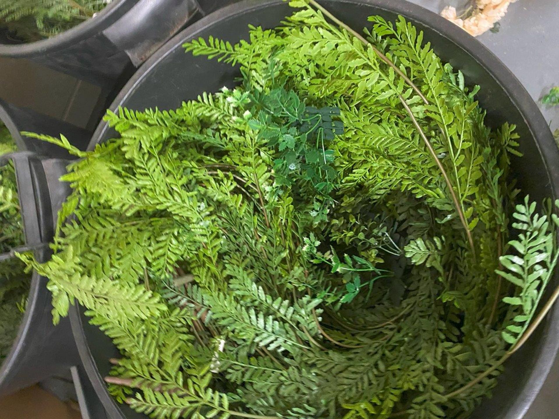 3 Bins to Include Quantity of Artificial Hanging Ferns - Image 2 of 2