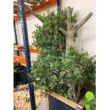 3m Tall x 2.6m Dia Artificial Ficus Tree