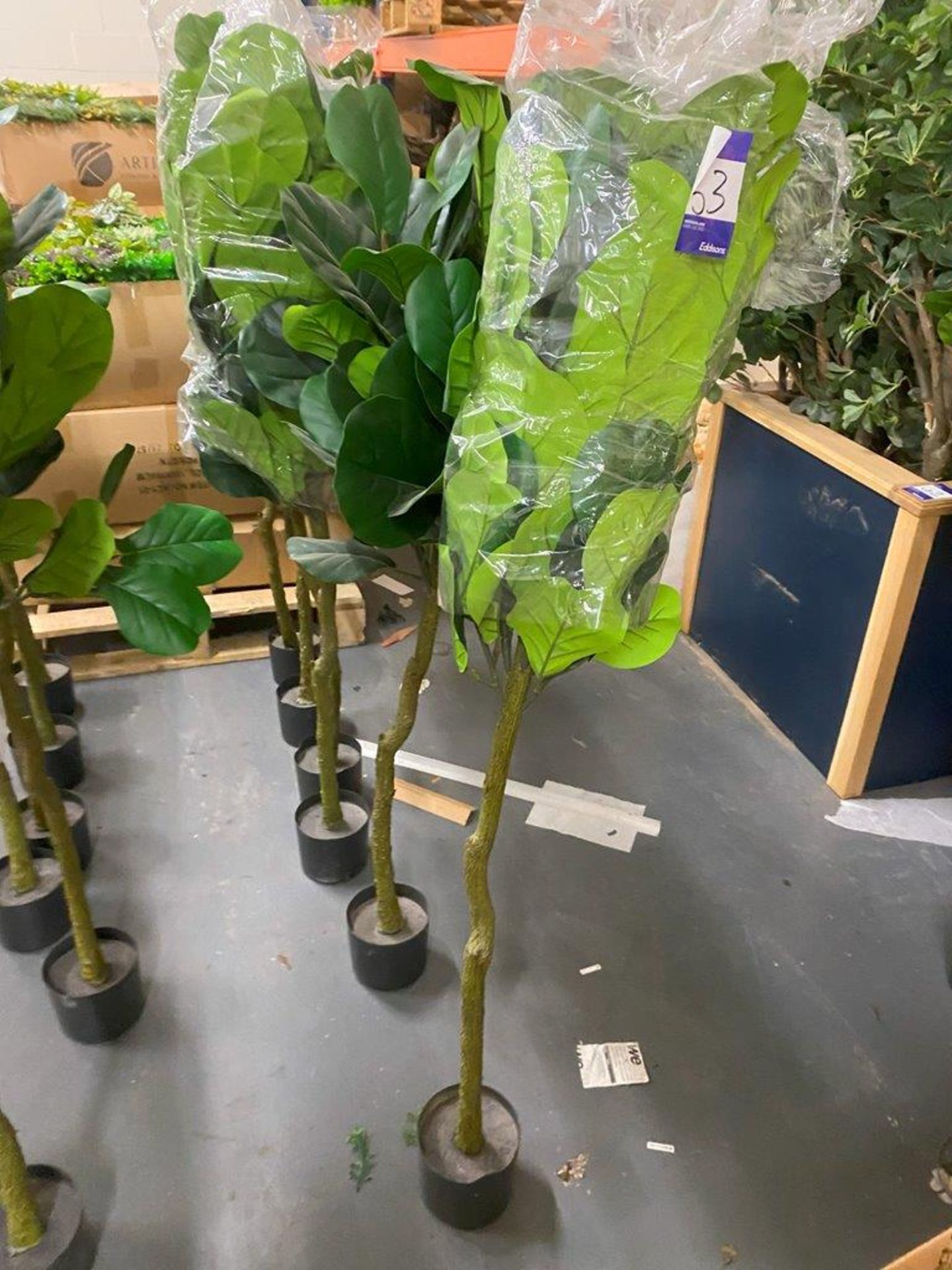 6 x Fig Fiddle Leaf Artificial Plants