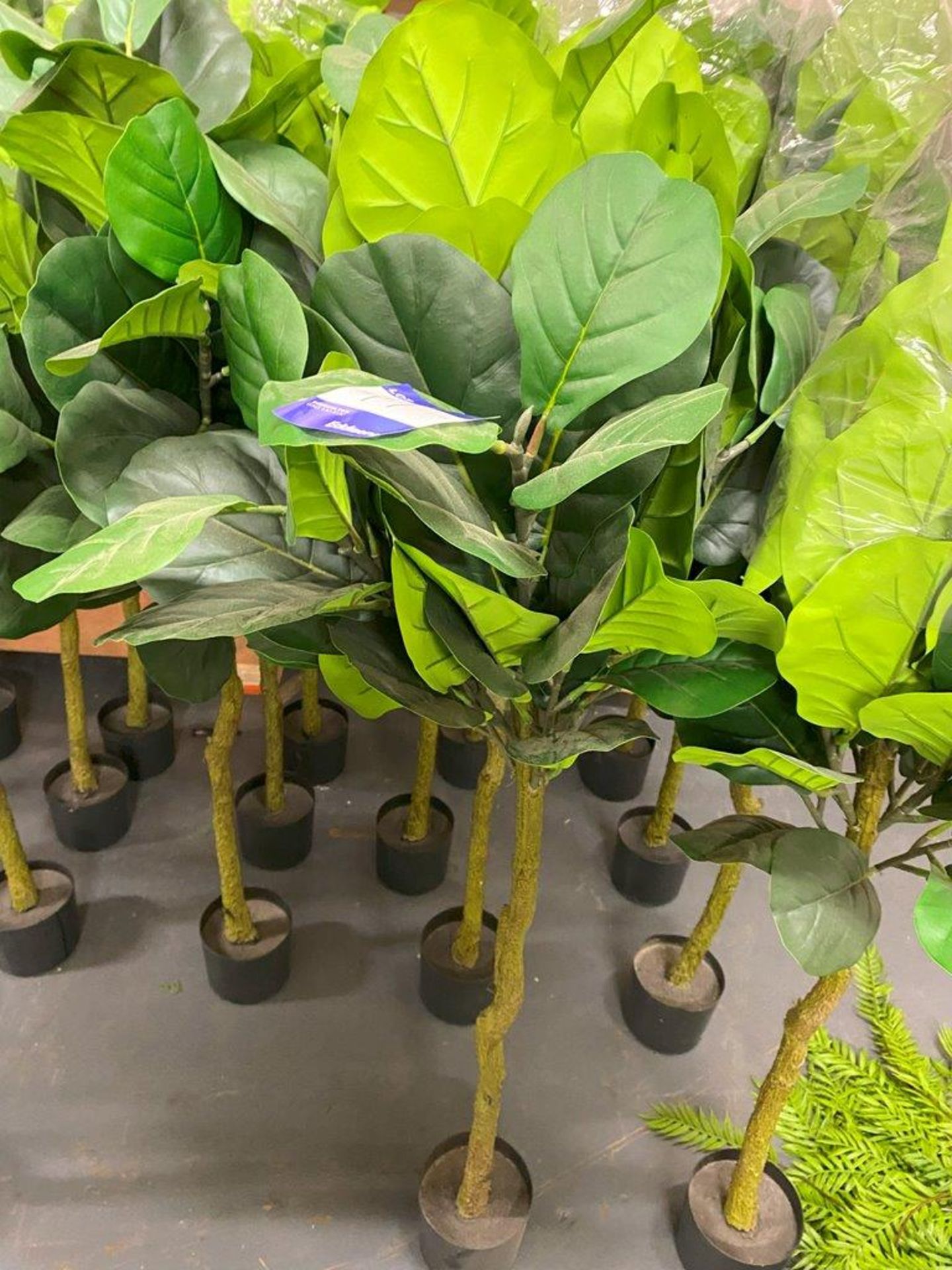 5 x Fig Fiddle Leaf Artificial Plants