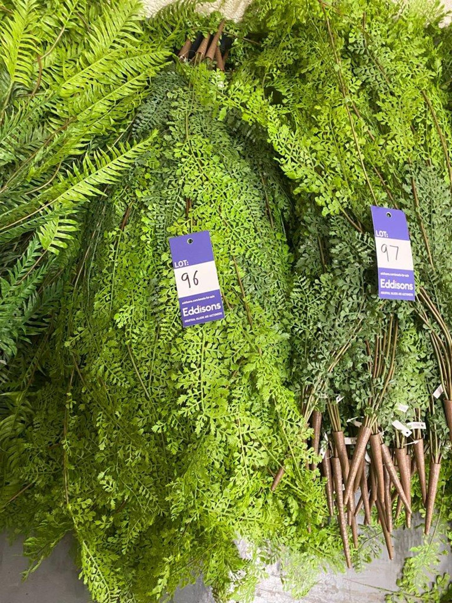 Approximately 50 Artificial Hanging Ferns