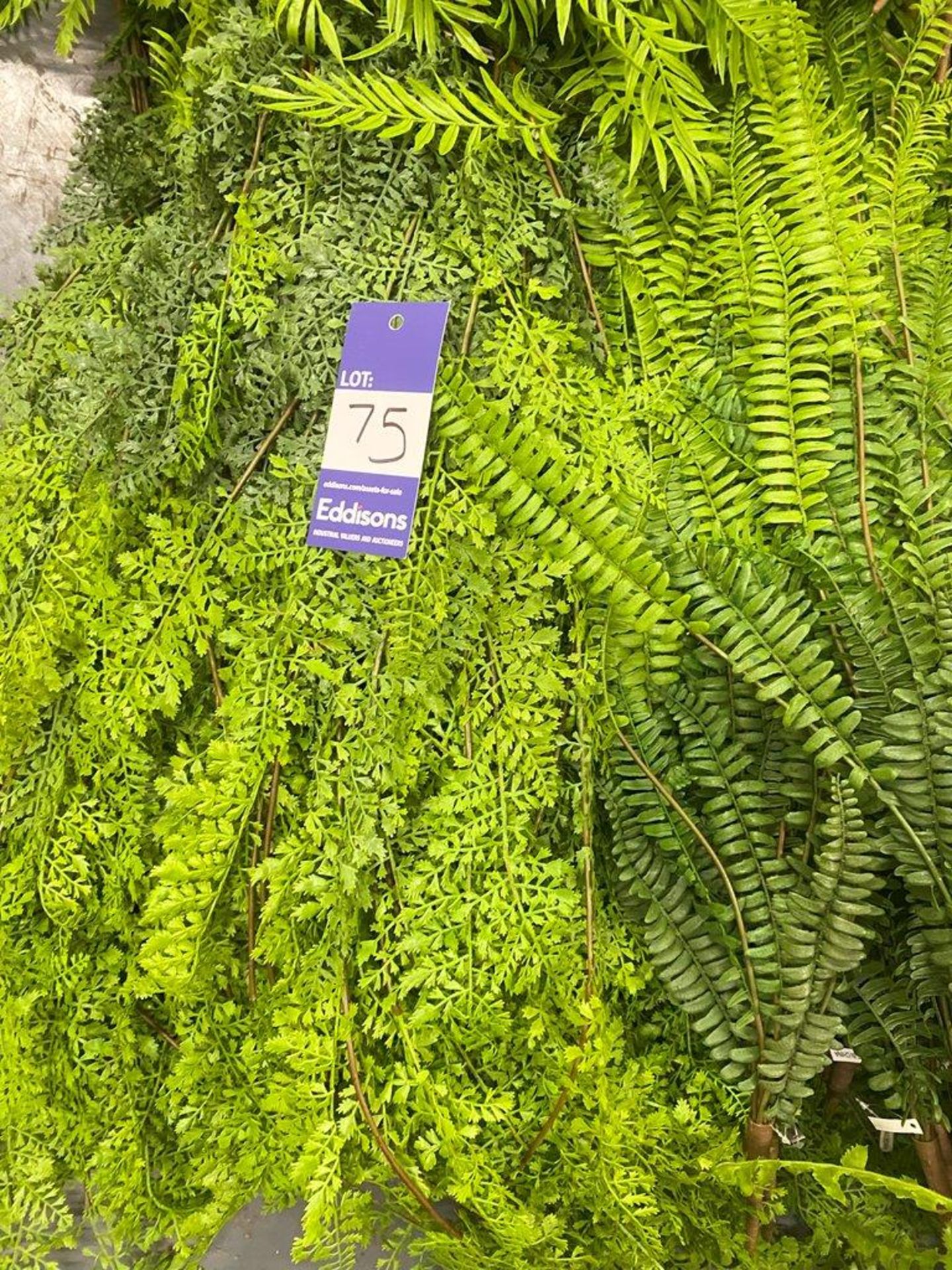 Approximately 50 Artificial Hanging Ferns