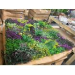 Box of 8 1000mm x 1000mm Purple Mist Design Artificial Green Wall; Approximate Retail Value; £720.