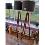 2 x Floor Mounted Lamps