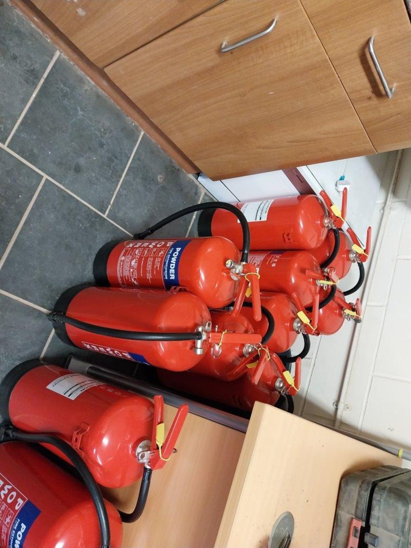 18 Powder Fire Extinguishers New 12/23 - Image 4 of 4