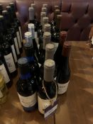 19x Bottles of Argentinian and Spanish Wine