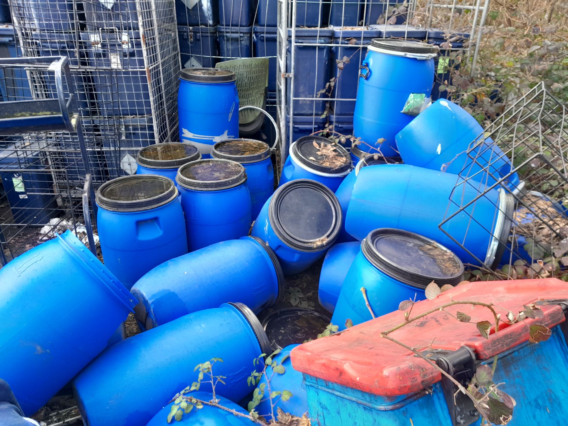 25 Schutz blue plastic drums, some with lids, approx. 580mm x 340mm - Image 4 of 4