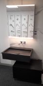 Keuco sink basin (800x530x200) with tap, under storage (800x500x400) and mirrored double door vanity