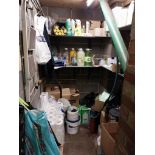 Contents of storage cupboard to include cleaning equipment, and pantry supplies