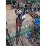 2 x leg lifting chain with shorteners 2.1T