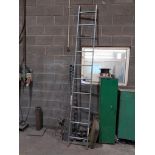 LFI L56L30 10 rung 3m ladder