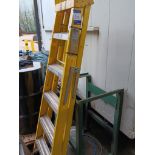 6 rung fibreglass stepladder