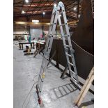 BPS 16 tread adjustable position aluminium ladder