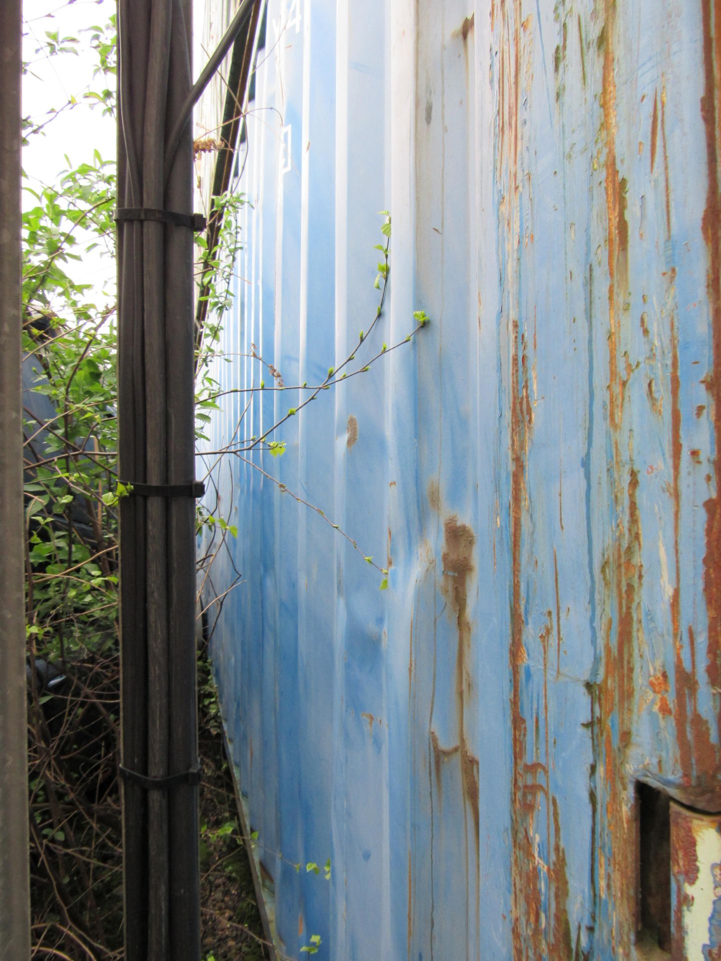 40ft Shipping container (Blue Delayed collection until lot 52 and 53 have been collected - Image 3 of 5