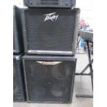 2x Speakers- 1x Ashdown; 1x Peavey