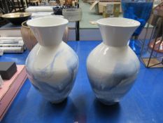 Pair of Blue & White Vases