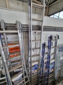 12 Rung Aluminium 'Tubesca Platinum 300' double extending ladder