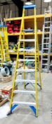 Werner 8 rung stepladder