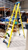 Werner 8 rung stepladder