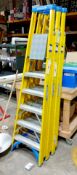 3 x Werner 6 rung stepladders