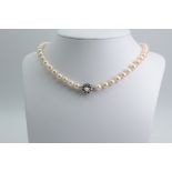 Akoya pearl necklace with white gold clasp, stamped 585. Clasp has 8 small diamonds, with a pearl