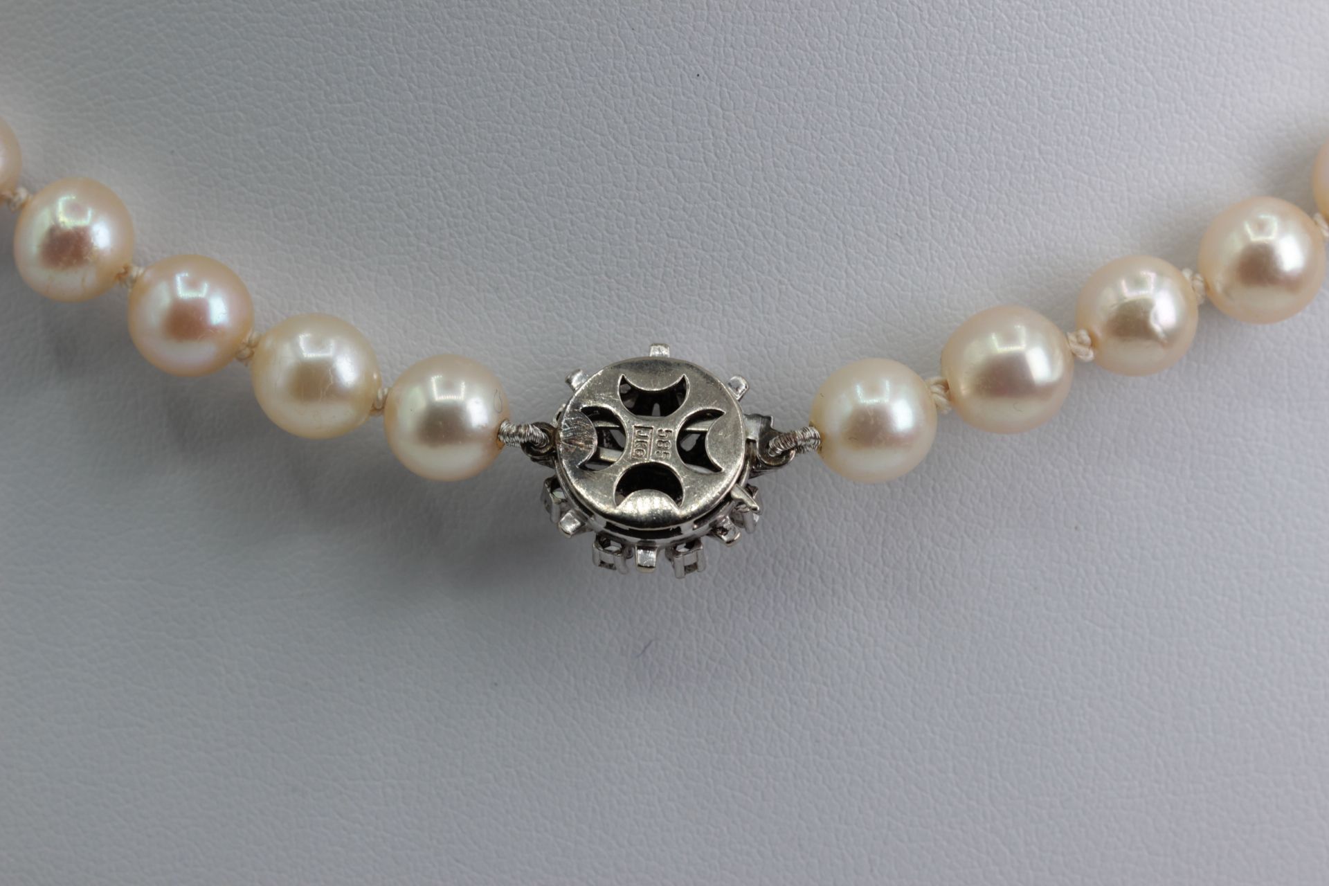 Akoya pearl necklace with white gold clasp, stamped 585. Clasp has 8 small diamonds, with a pearl - Image 3 of 3