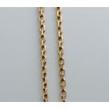 Inserted Anchor Chain Necklace 14K Yellow Gold