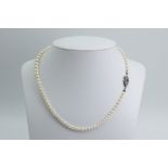 Knotted Pearl Necklace with Silver Clasp 46cm
