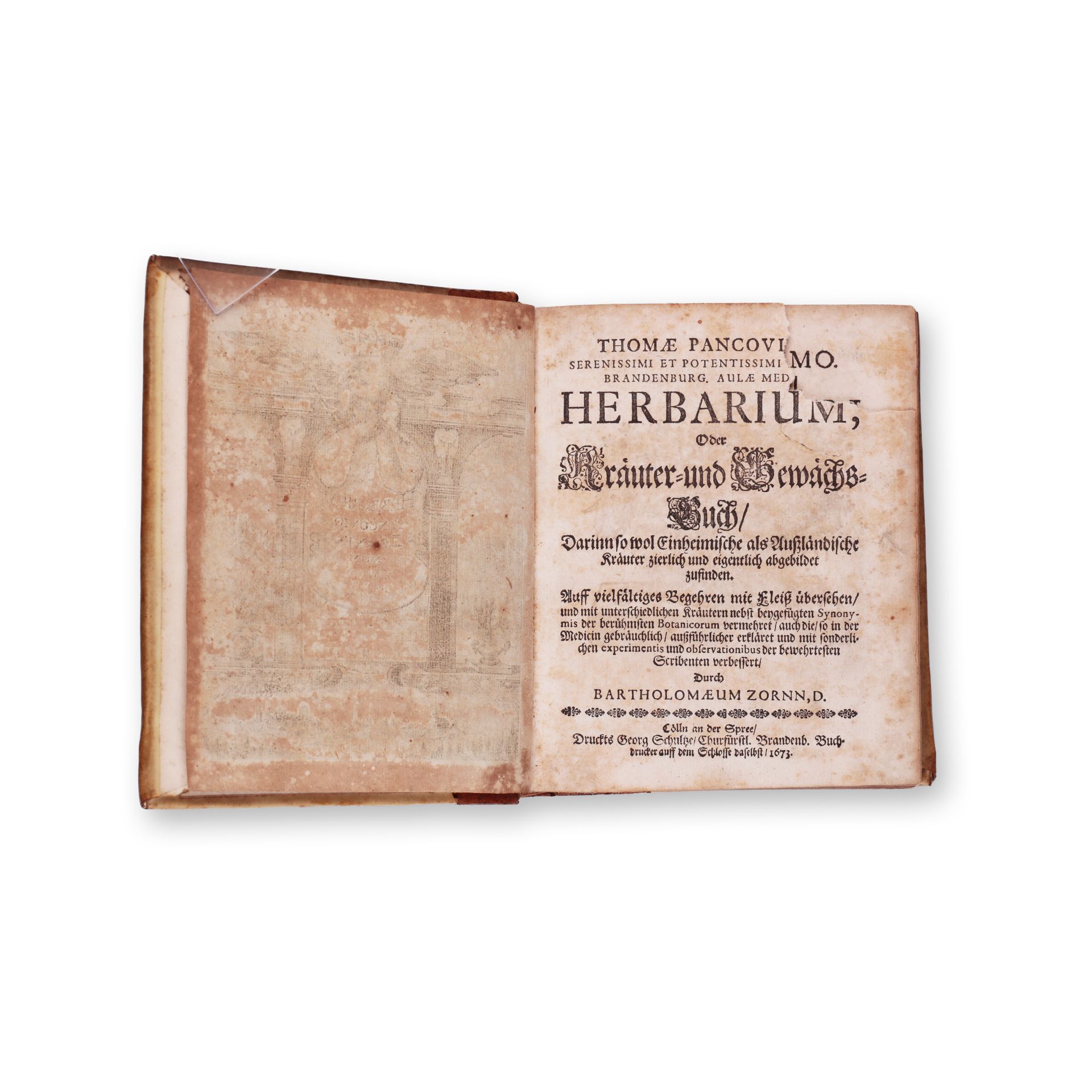 PANCOVIUS, Thomas (1622-1665): Herbarium - Image 3 of 4