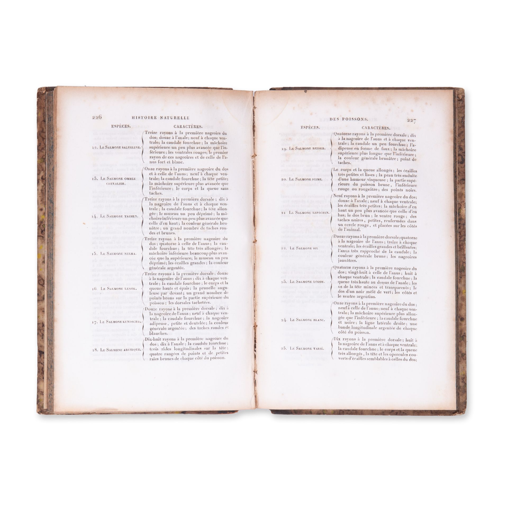 LA CEPEDE, M. (1756-1825): Comprenant l'histoire naturelle. Vol. XI. - Bild 4 aus 4