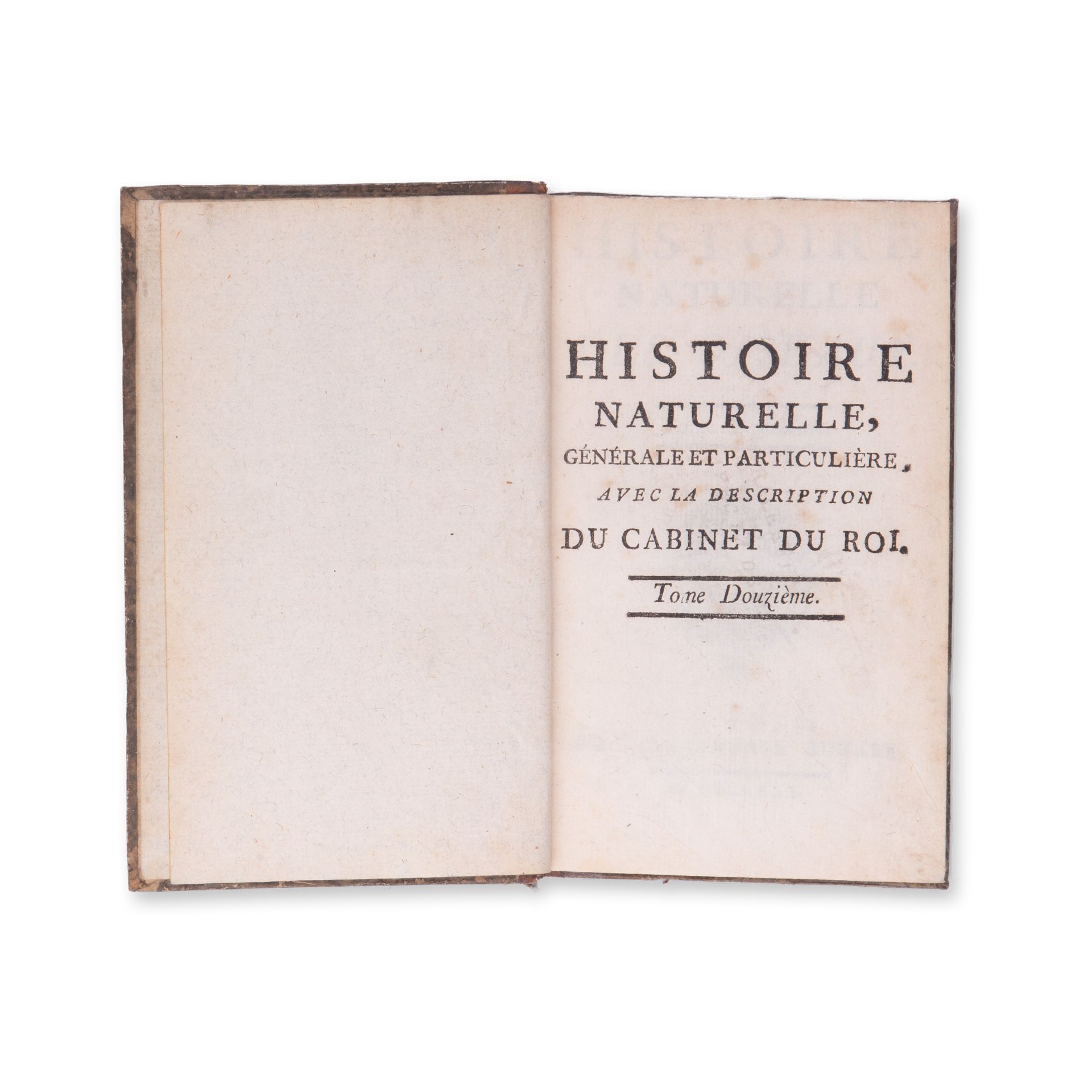 BUFFON, Georges Louis Leclerc (1707-1788): Histoire naturelle des oiseaux. Vol. XII. - Image 3 of 3