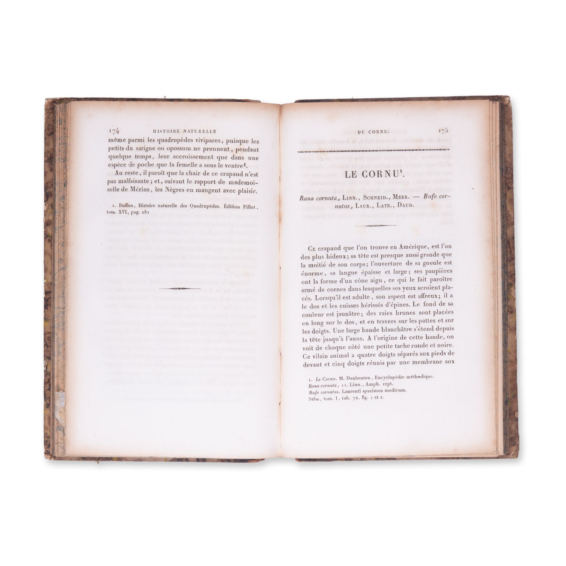 LA CEPEDE, M. (1756-1825): Comprenant l'histoire naturelle. Vol. III. - Bild 4 aus 4