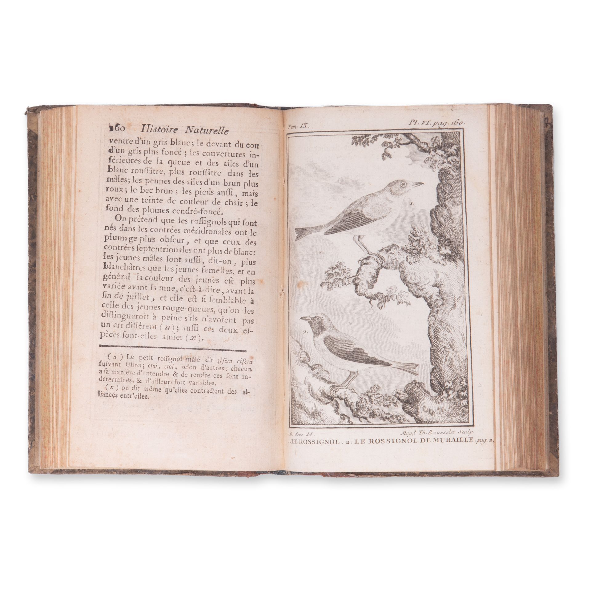 BUFFON, Georges Louis Leclerc (1707-1788): Histoire naturelle des oiseaux. Vol. IX. - Bild 4 aus 4
