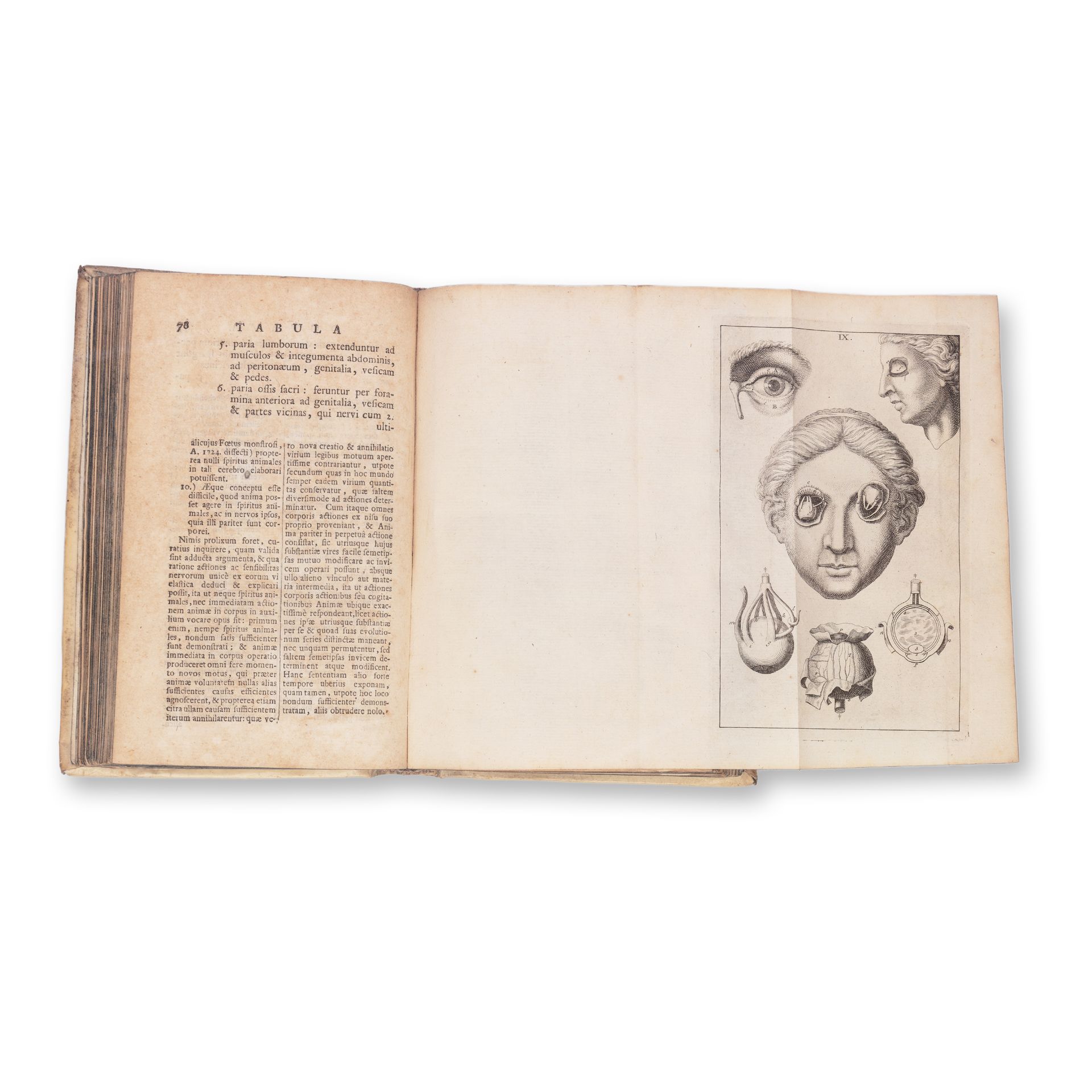 KULMUS, Johann Adam (1689-1745): Tabulae Anatomicae - Bild 3 aus 3