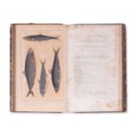 LA CEPEDE, M. (1756-1825): Comprenant l'histoire naturelle. Vol. XII.