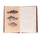 LA CEPEDE, M. (1756-1825): Comprenant l'histoire naturelle. Vol. X.