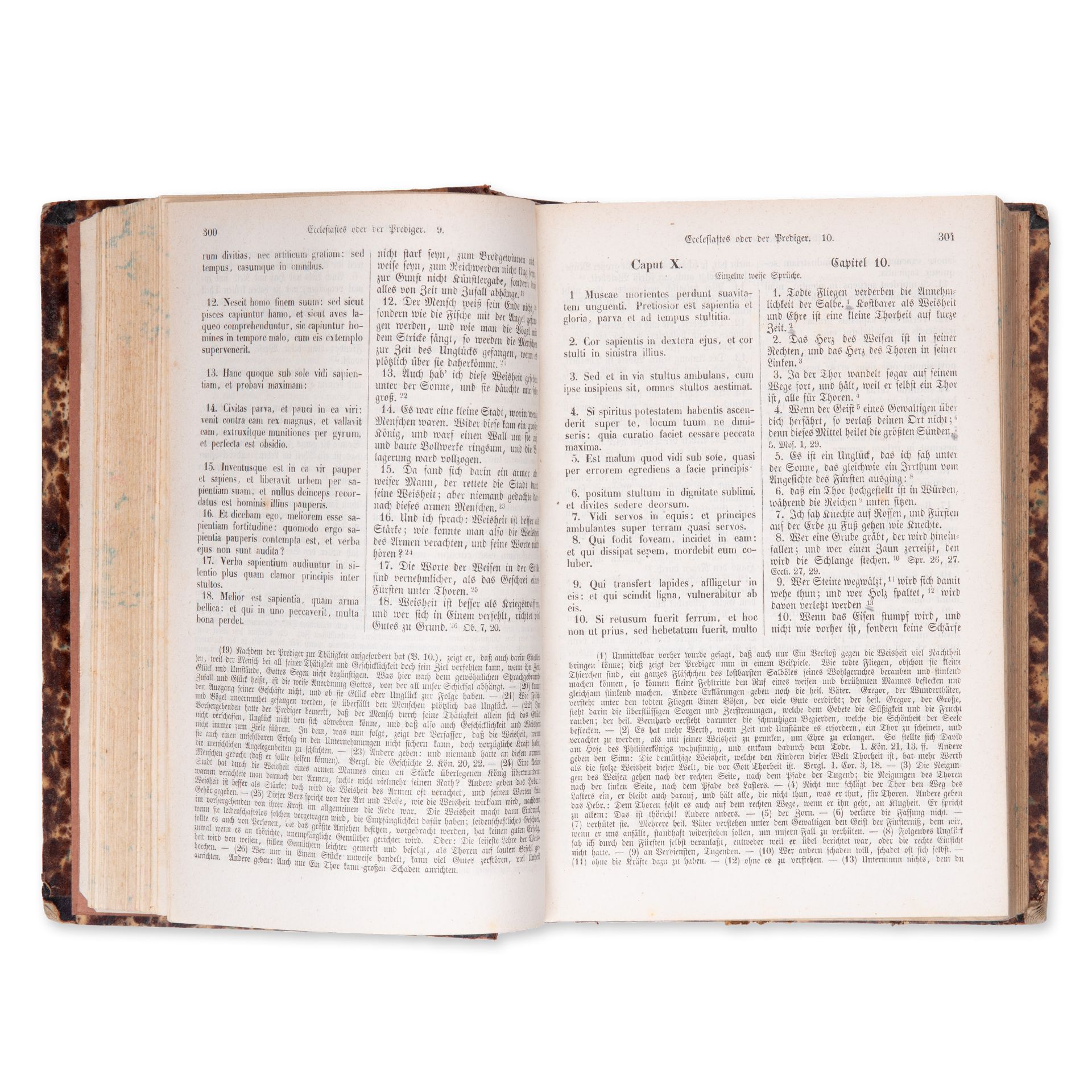 ALLIOLI, Joseph Franz (1793-1873): Die Heilige Schrift. Vol. II. - Bild 3 aus 3