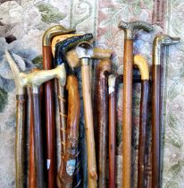 Walking Sticks - fourteen walking sticks and canes including a folkart crocodile carved example,