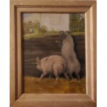 H**Weekes, late 19th century, Pigs, Great Expectations, signed and titled to verso, oil on canvas,