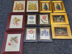 Pictures - a set of four, Botanical, Flowers in February, April and June, 16.5cm x 12.5cm;