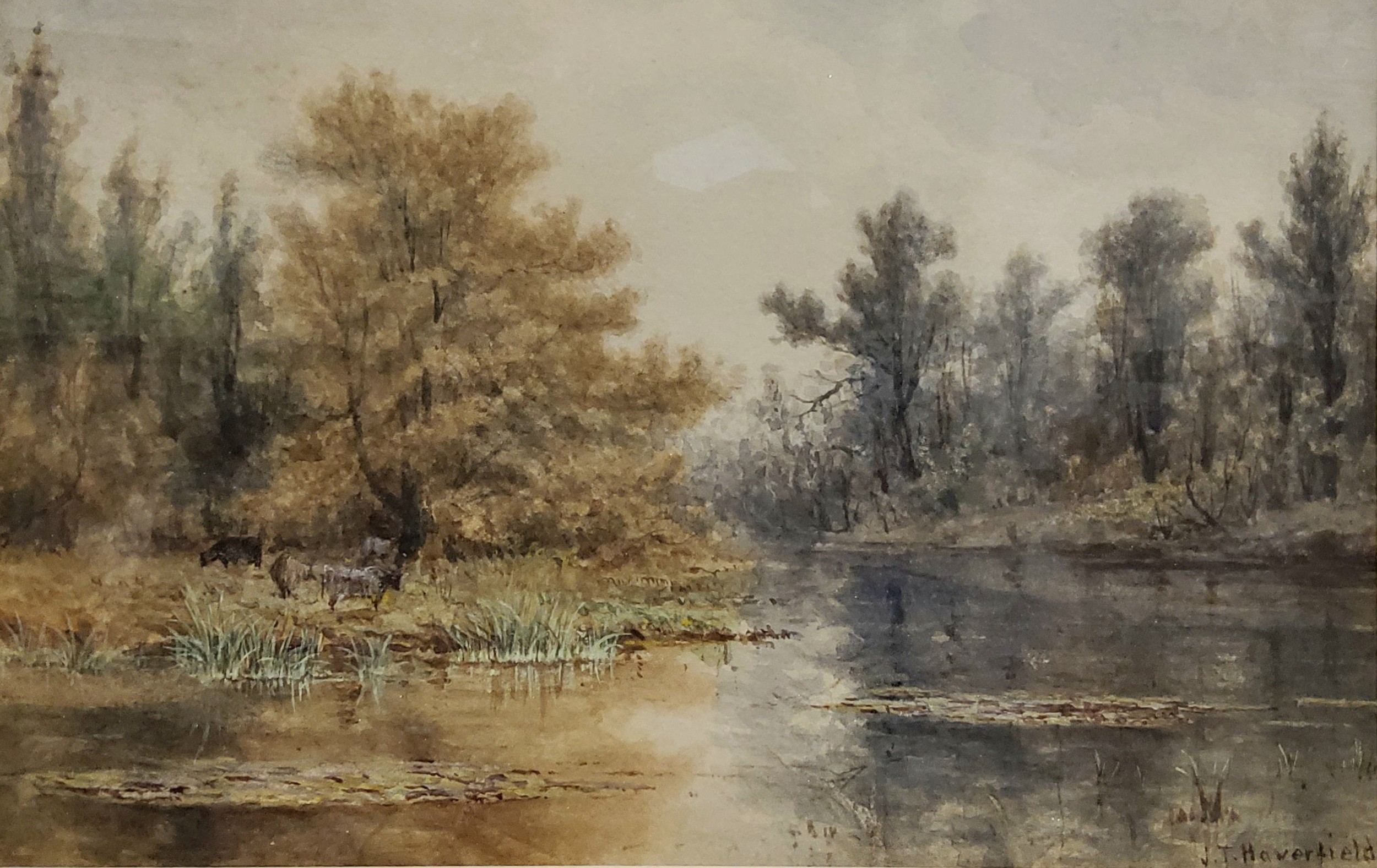 John Tunsatall Haverfield (1825-1885) Woodland Pool, signed,  watercolour, 21cm x 31cm