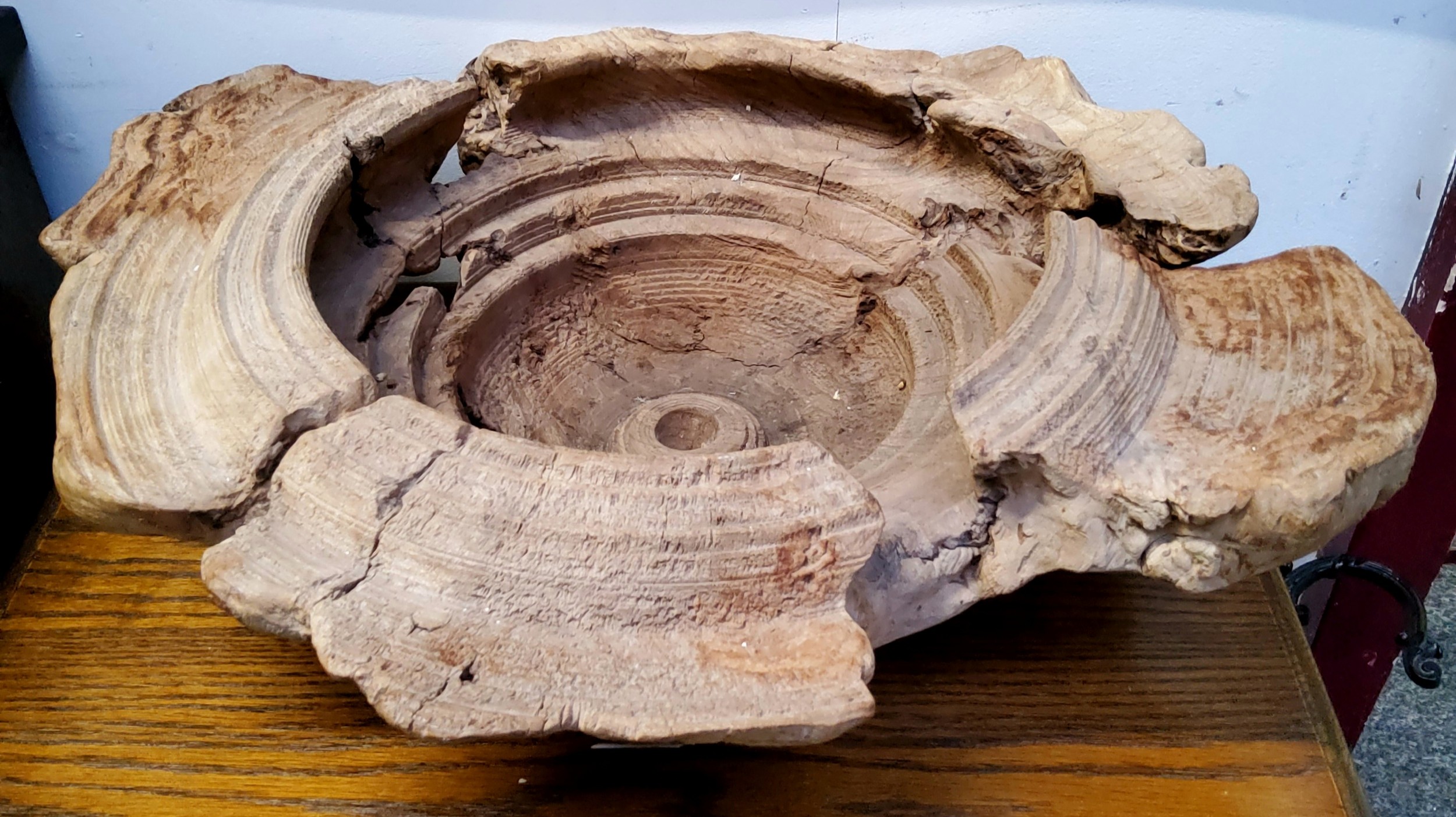 A large natural turned wooden bowl, signed Chai 1990, 54.5cm wide