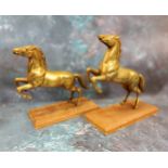 A pair of brass models, rearing horses, wooden bases, 22cm high