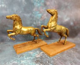 A pair of brass models, rearing horses, wooden bases, 22cm high