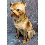 A large Victorian Staffordshire pug dog, gilt collar, 34cm high, c.1870