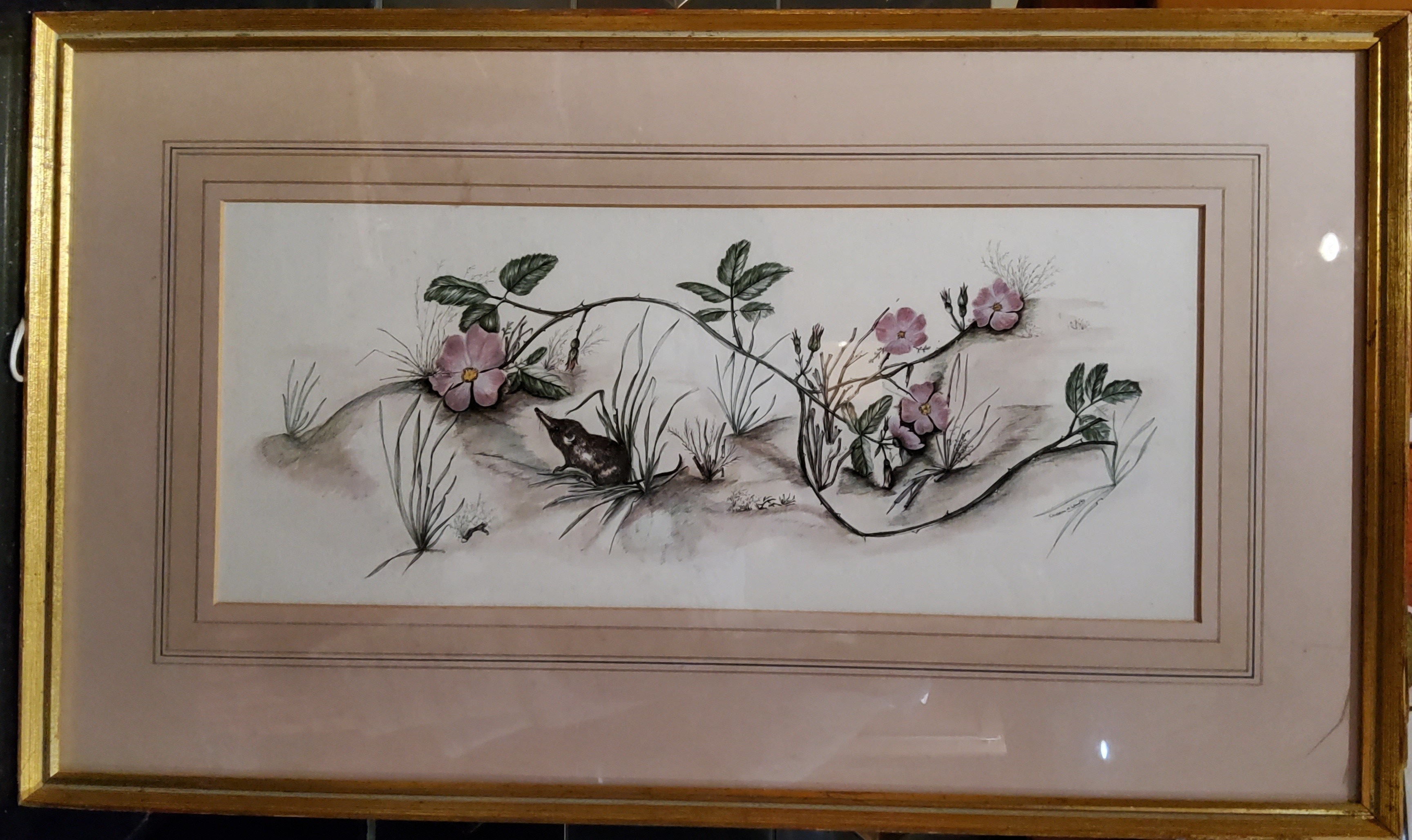 Christine A Woodby (20th century) Shrew and Wild Roses, singed, watercolour, 18cm x 44cm