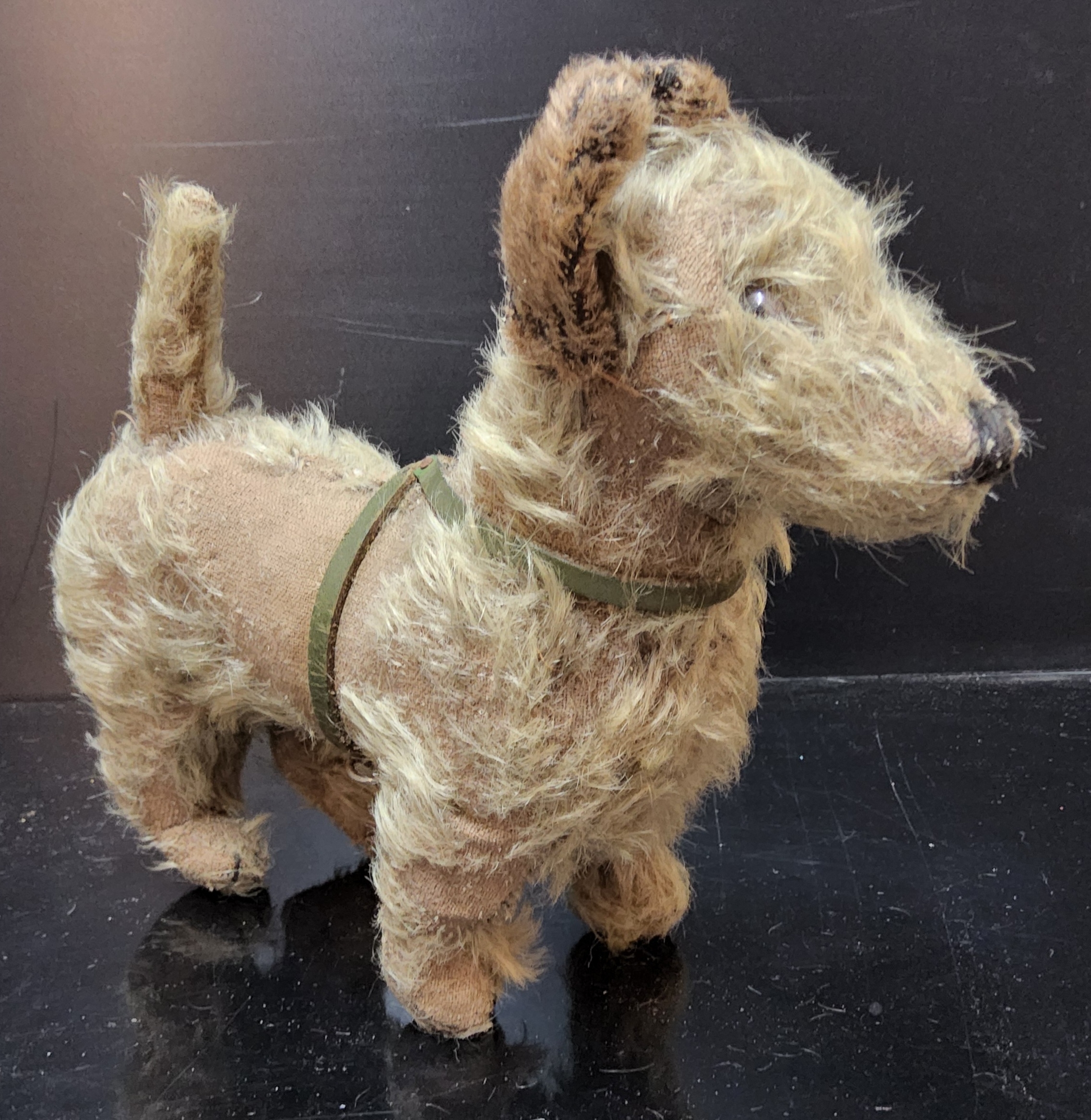 A Late 19th / Early 20th Century plush covered standing dog, scotty or similar, with green leather
