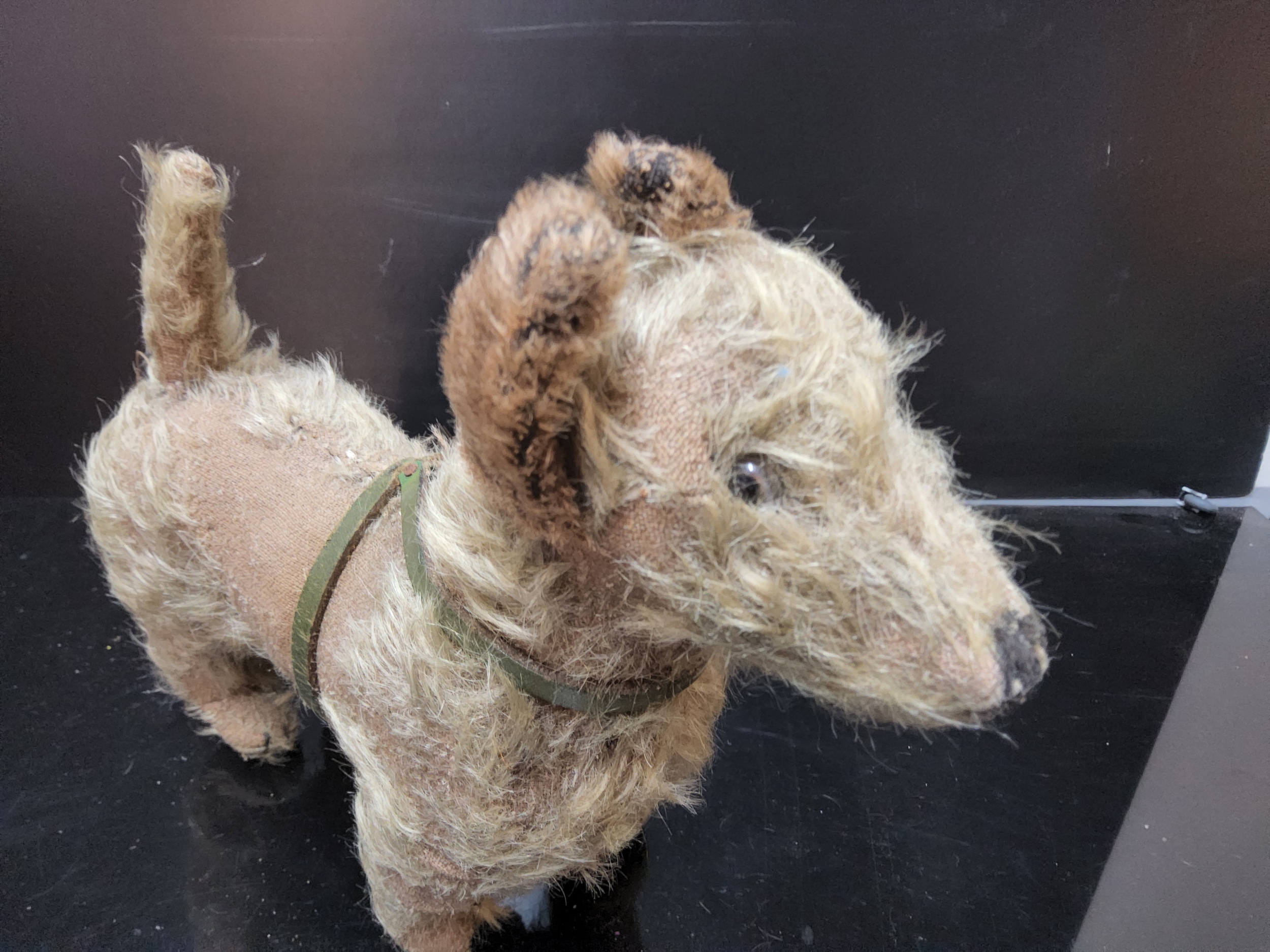 A Late 19th / Early 20th Century plush covered standing dog, scotty or similar, with green leather - Image 2 of 2